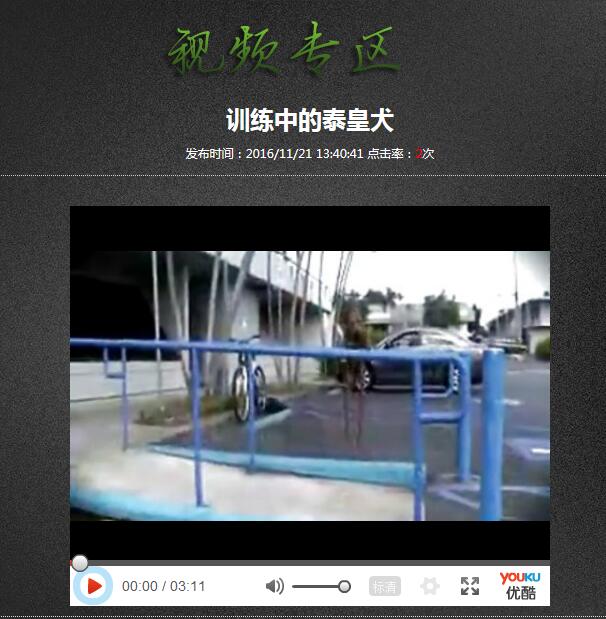 浩轩网络教您如何在网站后台利用xhEditor编辑器引用优酷视频